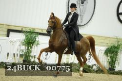 24BUCK_00775 proof