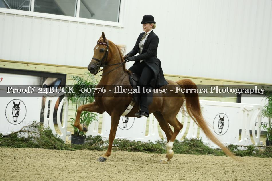 Proof 24BUCK_00776