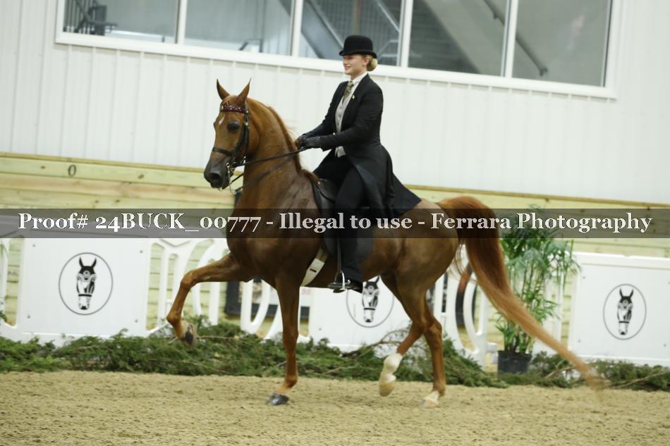 Proof 24BUCK_00777