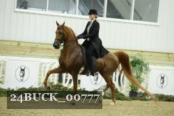 24BUCK_00777 proof