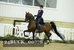 24BUCK_00778 proof