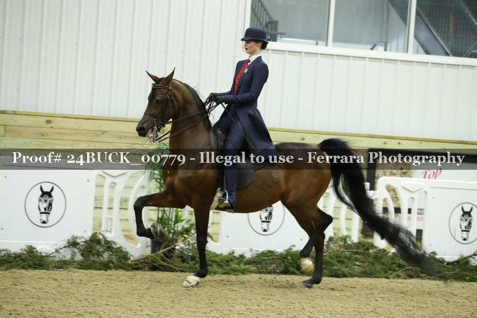 Proof 24BUCK_00779
