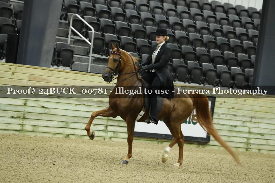 Proof 24BUCK_00781