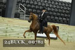 24BUCK_00781 proof