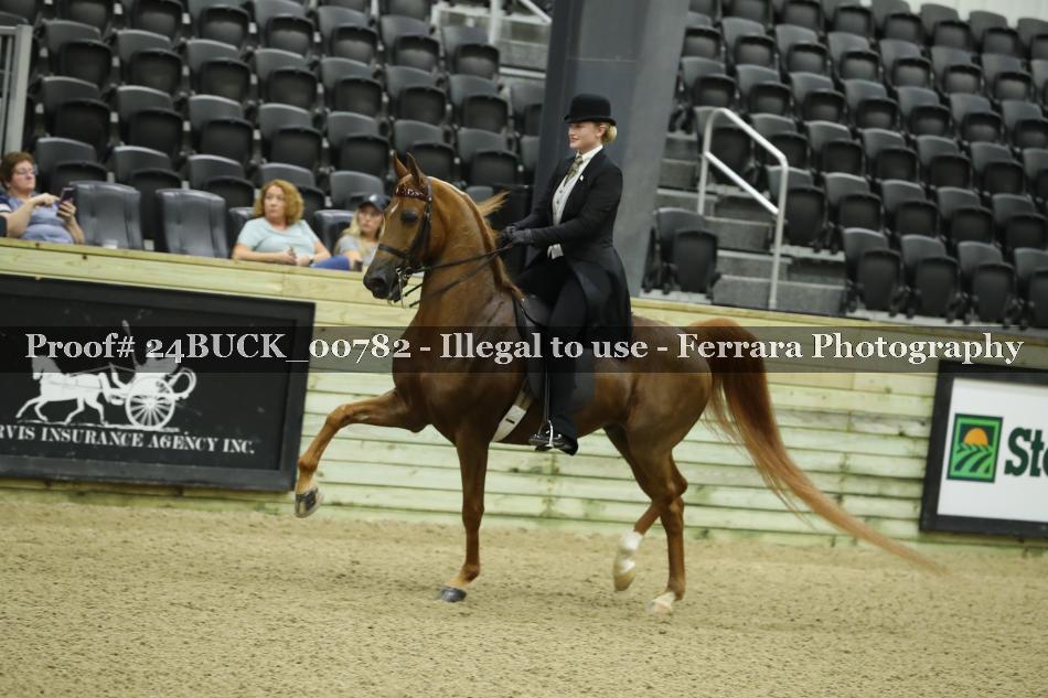 Proof 24BUCK_00782