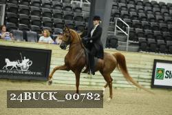 24BUCK_00782 proof