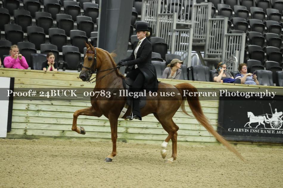 Proof 24BUCK_00783
