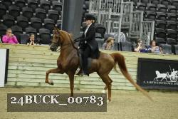 24BUCK_00783 proof
