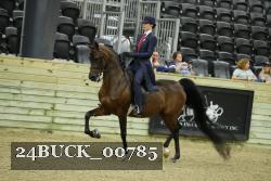 24BUCK_00785 proof