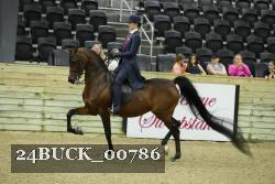 24BUCK_00786 proof