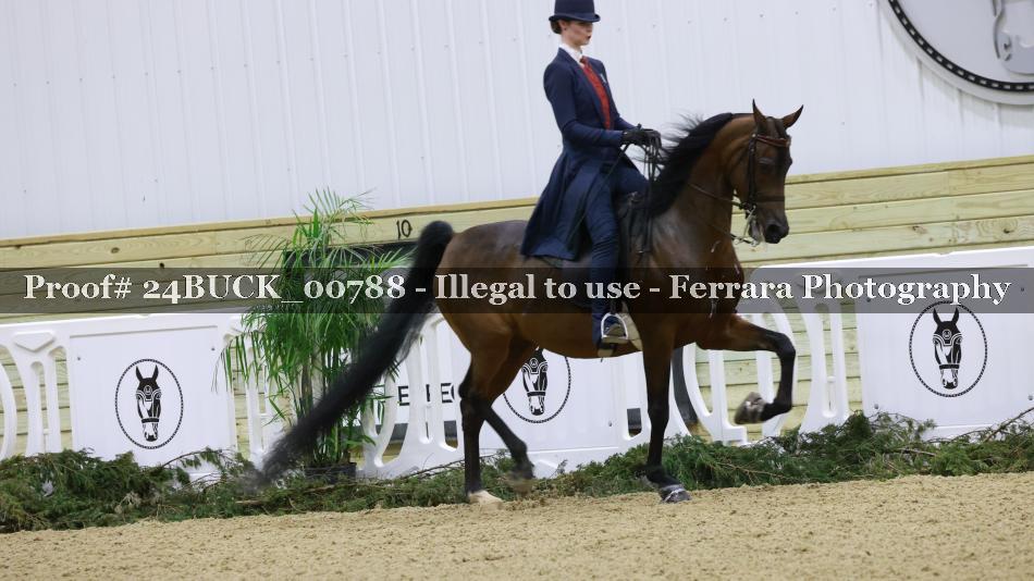 Proof 24BUCK_00788