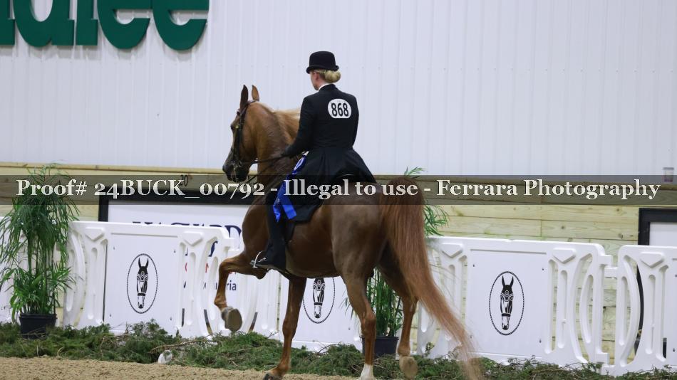 Proof 24BUCK_00792