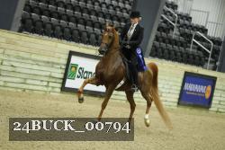24BUCK_00794 proof