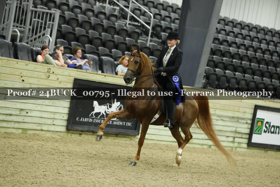 Proof 24BUCK_00795