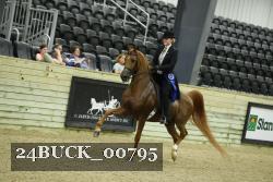 24BUCK_00795 proof