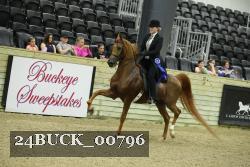 24BUCK_00796 proof