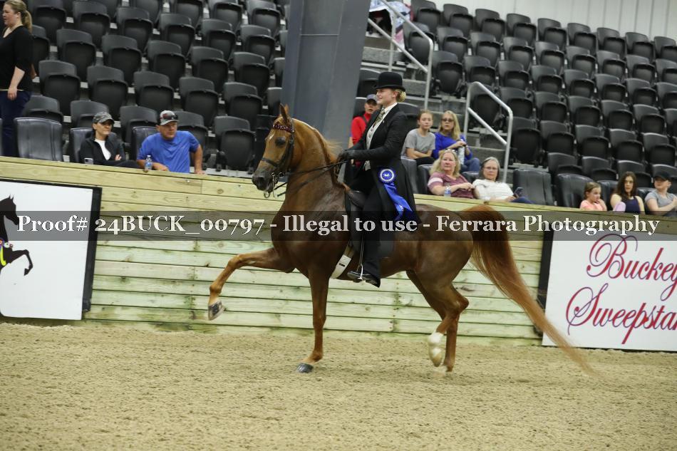 Proof 24BUCK_00797