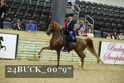 24BUCK_00797 proof