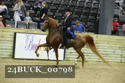 24BUCK_00798 proof