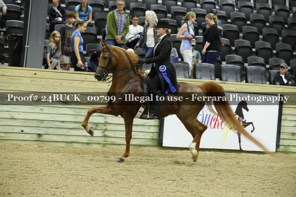 Proof 24BUCK_00799