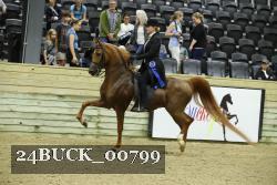 24BUCK_00799 proof