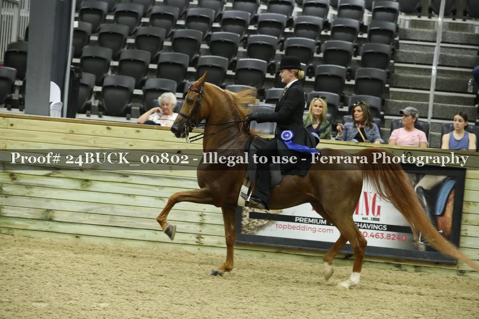 Proof 24BUCK_00802