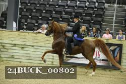24BUCK_00802 proof