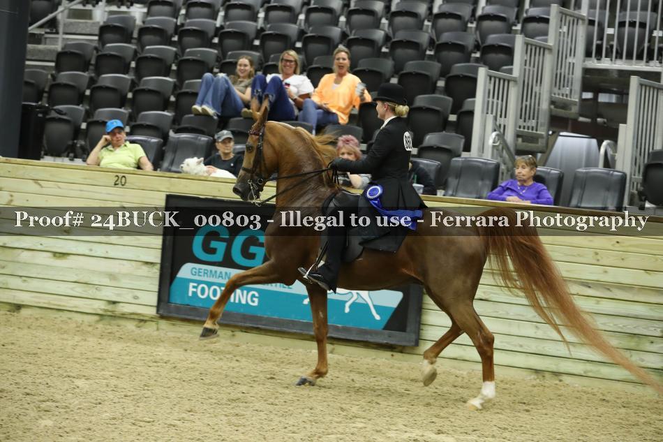 Proof 24BUCK_00803