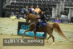 24BUCK_00803 proof