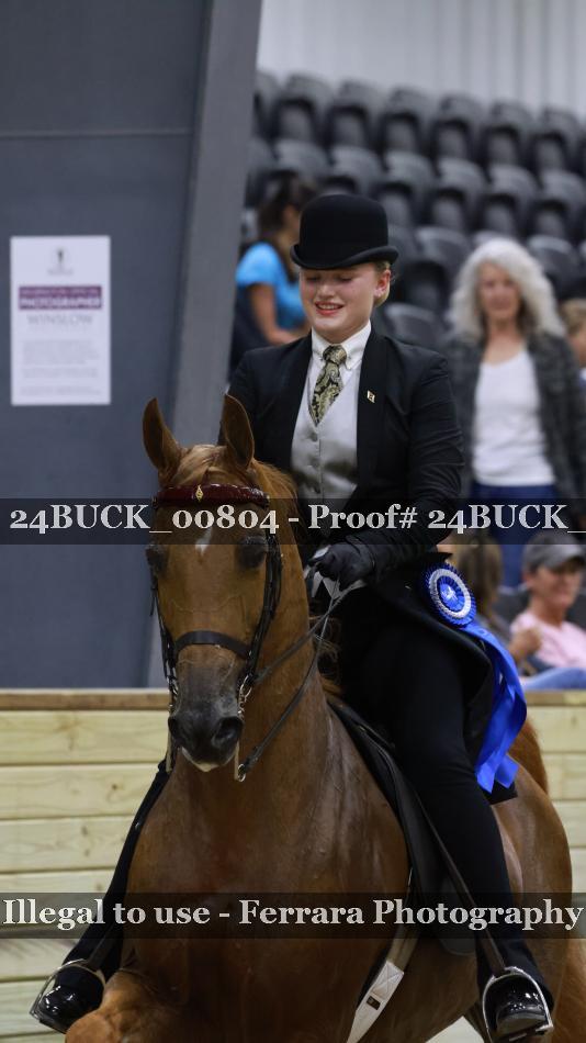 Proof 24BUCK_00804