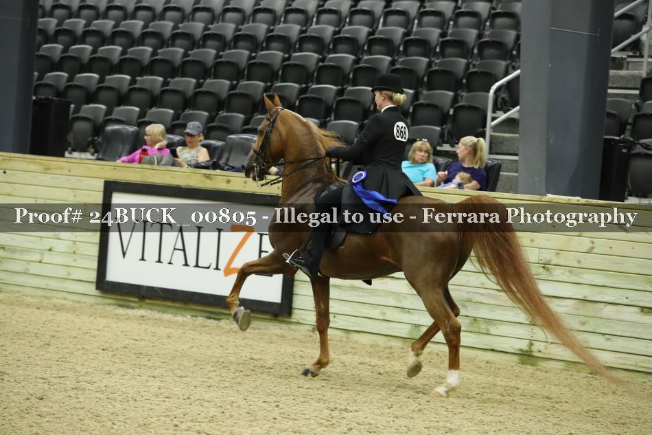 Proof 24BUCK_00805