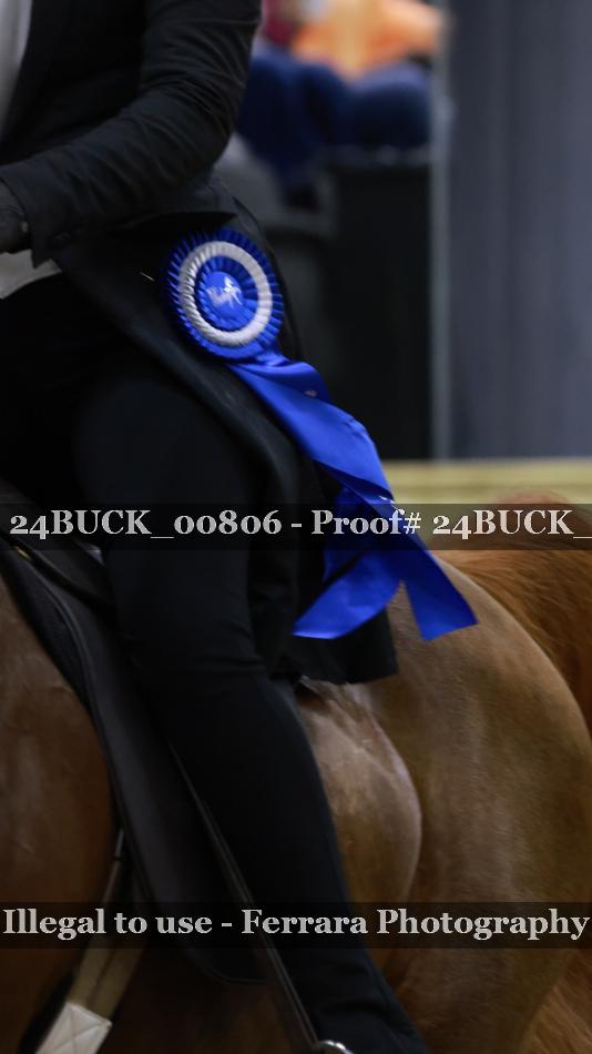 Proof 24BUCK_00806