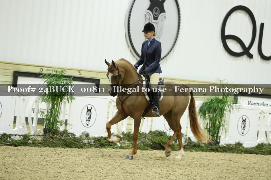 Proof 24BUCK_00811