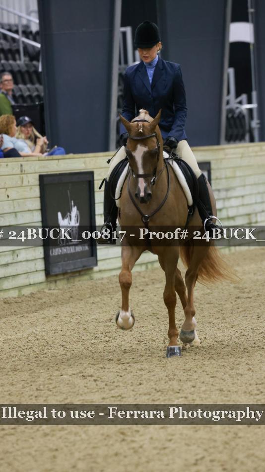 Proof 24BUCK_00817