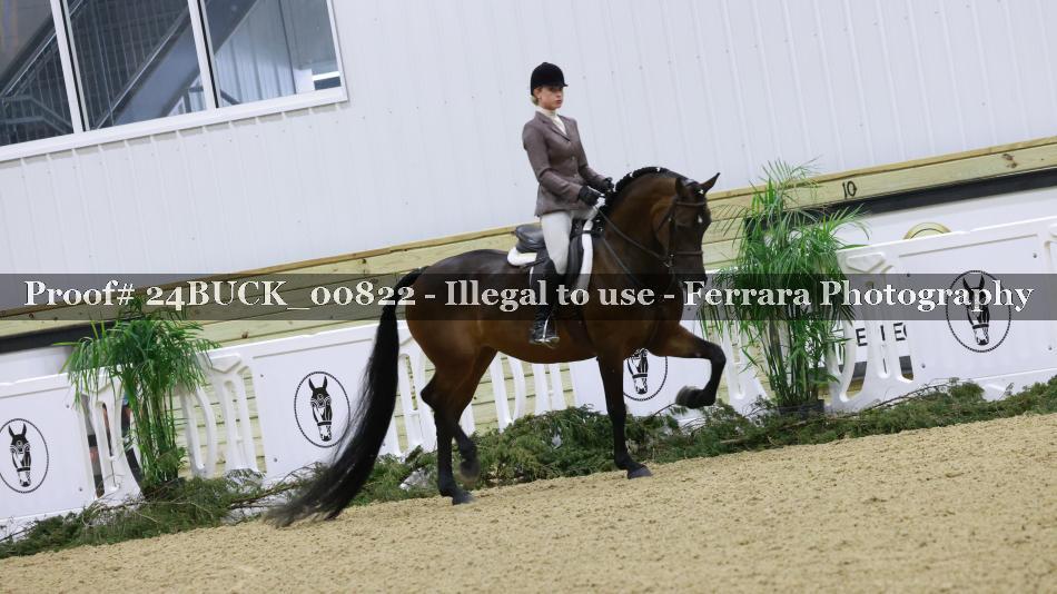 Proof 24BUCK_00822
