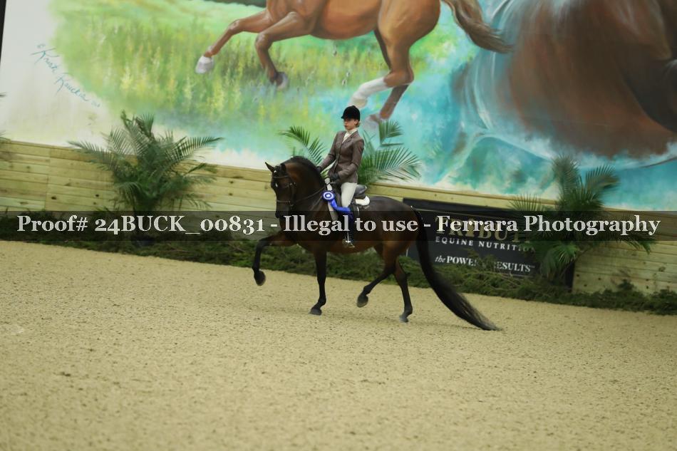 Proof 24BUCK_00831