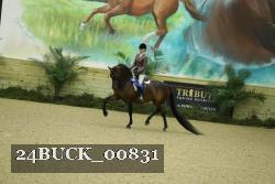 24BUCK_00831 proof