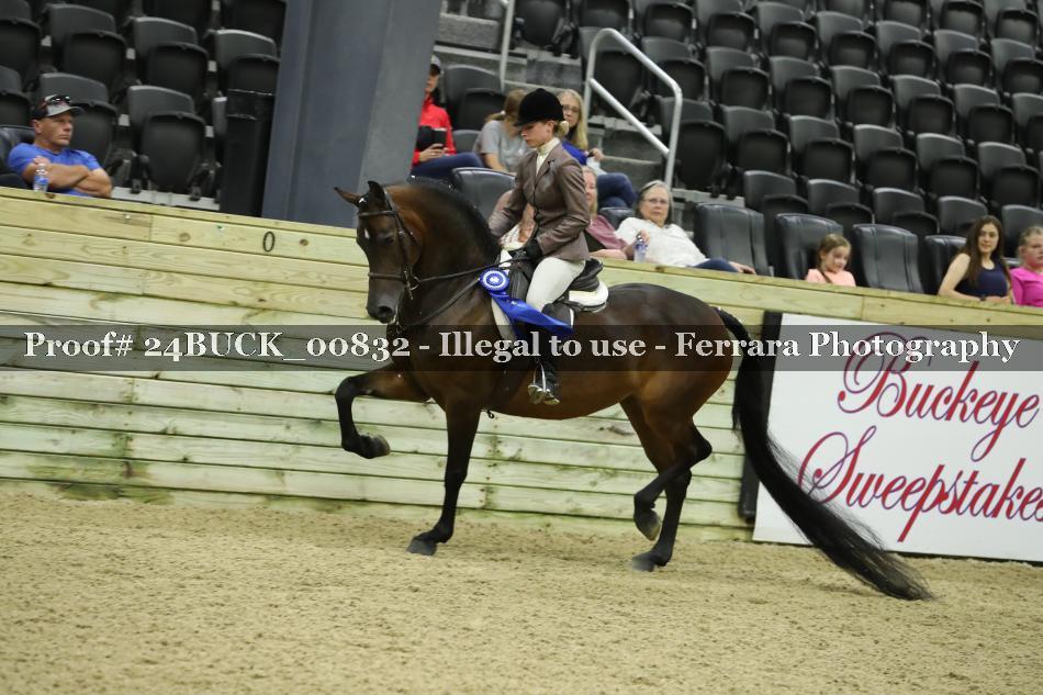 Proof 24BUCK_00832