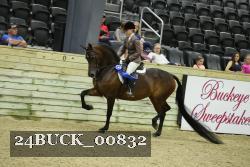 24BUCK_00832 proof