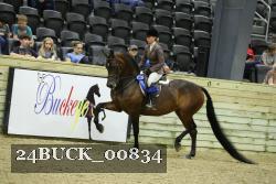24BUCK_00834 proof