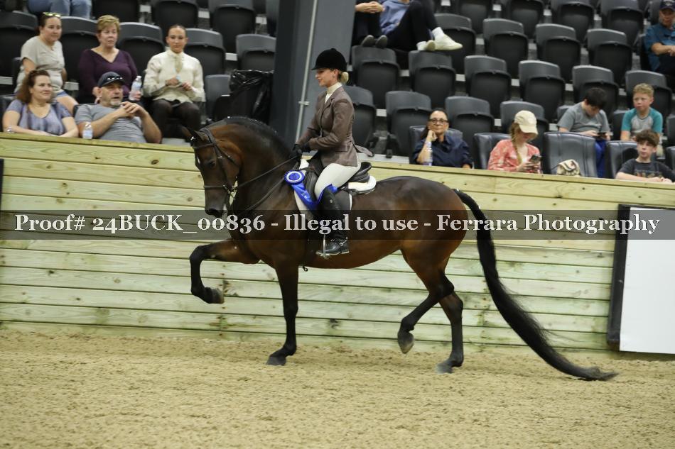 Proof 24BUCK_00836