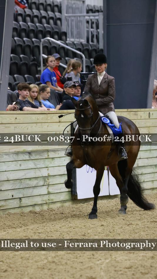 Proof 24BUCK_00837