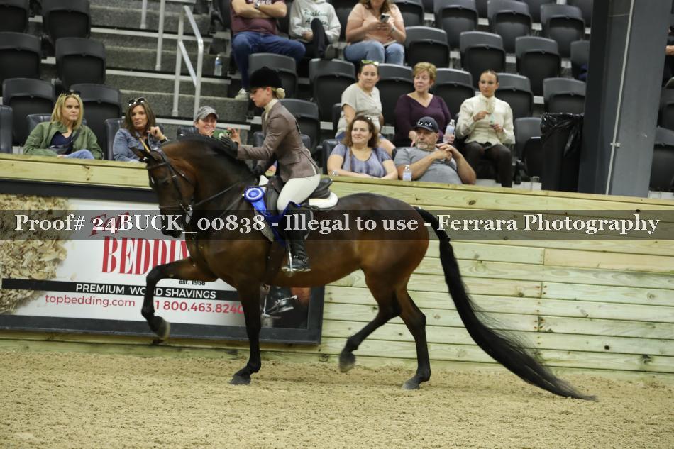 Proof 24BUCK_00838
