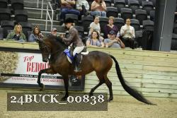 24BUCK_00838 proof