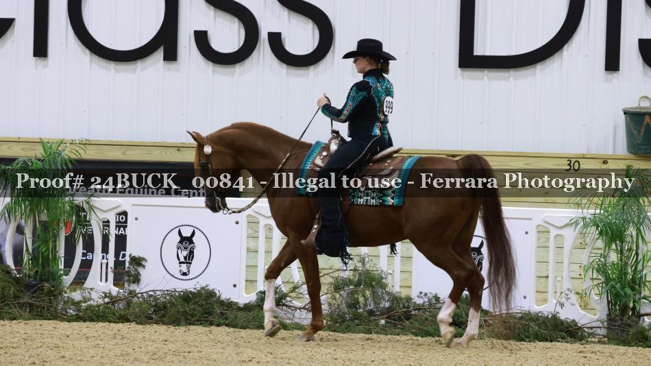 Proof 24BUCK_00841