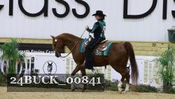 24BUCK_00841 proof