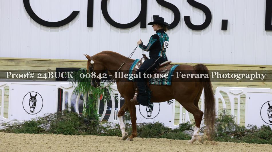 Proof 24BUCK_00842