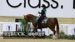 24BUCK_00842 proof