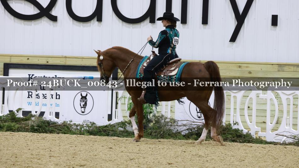 Proof 24BUCK_00843