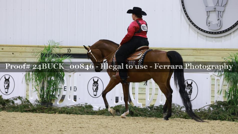 Proof 24BUCK_00846